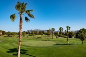 Golf-Spanien-Oliva-Nova-8