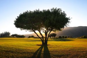Golf-Fricktal-Crete-Golf-Club-31