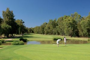 Golf-Fricktal-Penina-Golf-Resort-21