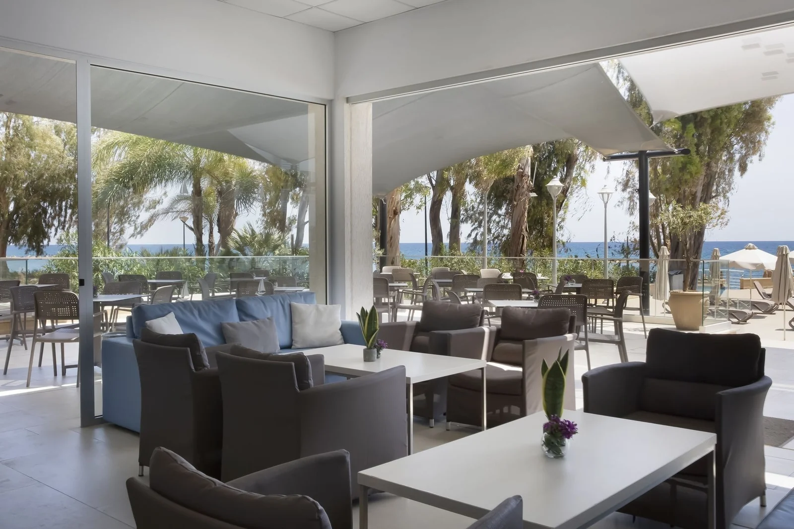 Hôtel Harmony Bay, terrasse, Limassol, Chypre